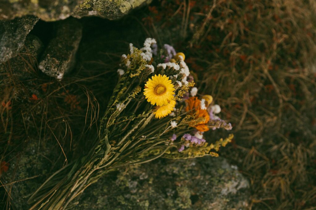 Dried wildflower bouquet used for a White Mountains elopement